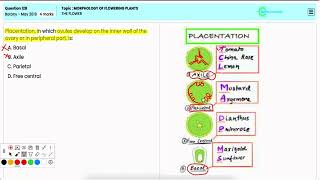 Q128 NEET 2019 Botany  The Flower  Structure Function and Role in Plant Reproduction [upl. by Nyliuqcaj]