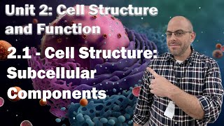 AP Bio Unit 2  21  Cell Structure  Subcellular Components [upl. by Niret]