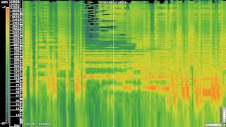 Equation  Aphex Twin Spectrogram [upl. by Elwee]