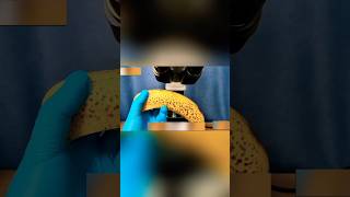 Amazing Tolls😱Microscope chekiang banana Food🍌shorts microscope banana [upl. by Pamella]