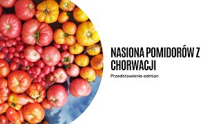 Nasiona pomidorów z Chorwacji Jakie nasiona zakupiłam na sezon 2024 Opis odmian [upl. by Nevuer21]