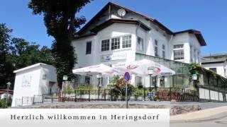 Zur Klause in Heringsdorf  Fischrestaurant  Restaurant und Pension [upl. by Ahsyekal]