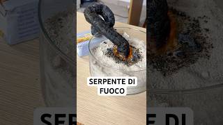 Ho creato un SERPENTE DI FUOCO scienza [upl. by Sivolc]