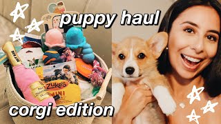 NEW PUPPY HAUL  Everything You Need  Corgi Essentials Edition 2020 [upl. by Adnaval]