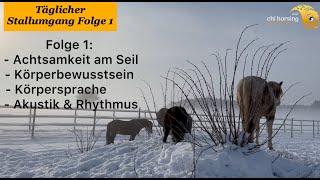 Die WICHTIGEN Kleinigkeiten im Umgang mit Pferden im Stall  Folge 1 [upl. by Melinda]