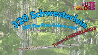 320 Brahms  Schwesterlein  The Flute Colors way  Tutorial Nederlands [upl. by Eahsel541]