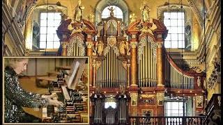 Mozart  PHANTASIE AND FUGUE in F MINOR  Diane Bish at Salzburg Cathedral Austria [upl. by Eselahc95]