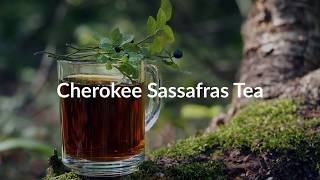 Cherokee Sassafras Tea [upl. by Kciderf125]