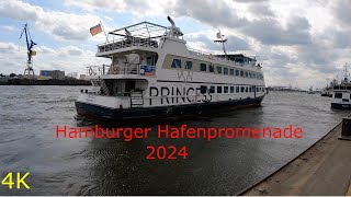 Hamburger 🛟🚢 Hafenpromenade 2024 4K [upl. by Rillis]