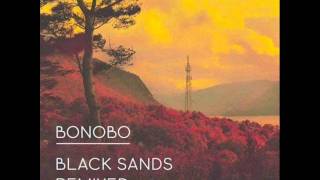 Bonobo  Ghost Ship Version 2012 [upl. by Sokcin]