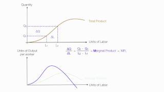 Introduction to Production Introduction Average Product Marginal Product Total Product [upl. by Terrell]