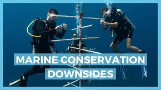 You need to know this before working in marine conservation  working as a marine biologist  pt 13 [upl. by Kciderf]