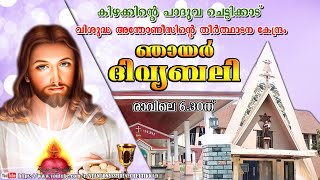 13 OCTOBER 2024  ദിവ്യബലി  ST ANTONYS SHRINE CHETTIKKAD [upl. by Ystap]