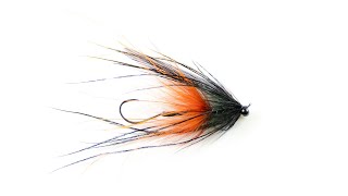 Rogue October Intruder  At The Vise W AFS [upl. by Idieh]