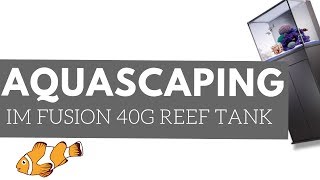 AQUASCAPING NEW INNOVATIVE MARINE 4OG FUSION REEF TANKTWICE [upl. by Rasaec]