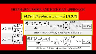 Shephard Lemma Minimized Expenditure Function amp Hicksian Demand Functions [upl. by Nosdivad]