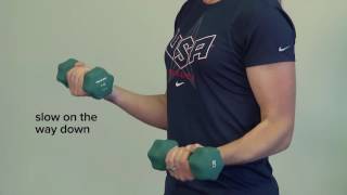 Eccentric exercises [upl. by Stroup]