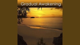 Gradual Awakening [upl. by Niliak]