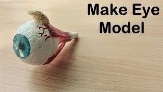 How to make Eye Model  3d thermocolstyrofoam project [upl. by Llaccm]