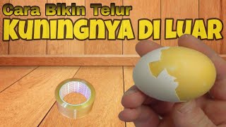 Cara Membuat Telur Kuning Diluar Putih Di DalamEXPERIMEN [upl. by Fenny]