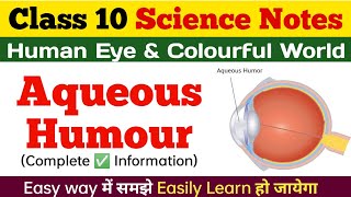 AQUEOUS HUMOUR l Human Eye And Colorful World Class 10 Science Chapter Notes In Hindi and English [upl. by Dustman914]