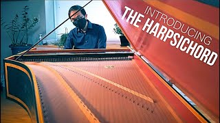 Introducing The Harpsichord [upl. by Anerbas]