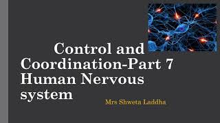 Human Nervous system part 7 [upl. by Odom]