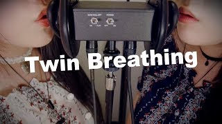 ASMR Twin Breathing amp Ear Blowing with Inhaling 😂 [upl. by Nosraep]