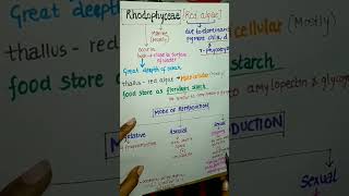 mode of reproduction RhodophyceaeRed Algaeplantkingdomclass11neet2024cbseshortsyoutubeshorts [upl. by Milah]