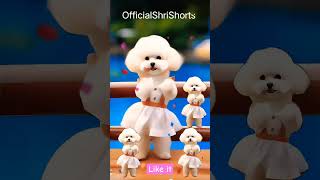 amazing dance  cute cat dance  smart cat cat cute youtubeshorts [upl. by Ludwig325]