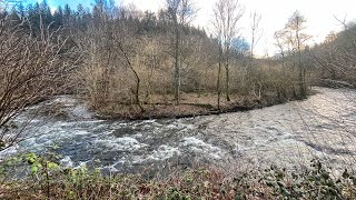 Germany 20240211 Packrafting Obere Rur 22 Grünenthal  Einruhr [upl. by Erena921]