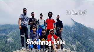 Sheshnag Lake  12 km Trek  Chandanwari to Sheshnag [upl. by Pangaro]