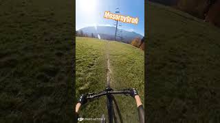 bikepark enduro mosornygron zawoja mtb ebike endurotrails downhill bike mountainbike [upl. by Gillespie40]