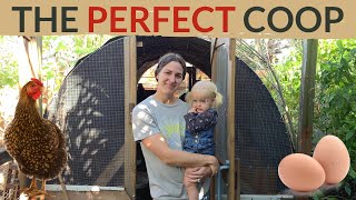 BEST Chicken Coop for ANY Budget  Tips for Designing a Chicken Coop [upl. by Garlinda719]