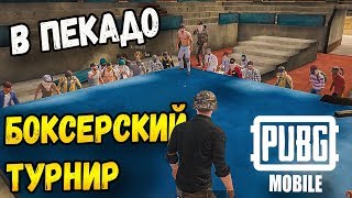 ПЕРВЫЙ БОКСЕРСКИЙ ПОЕДИНОК В PUBG MOBILE ЗАРУБА В ПЕКАДО [upl. by Atnaloj921]