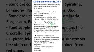 Economic Importance of Algae  Algae Importance biologybloom [upl. by Schwitzer278]