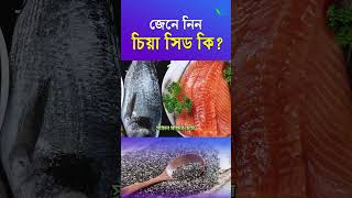 চিয়া সিড কী What is chia seeds I sasthosebok [upl. by Eitsirc]