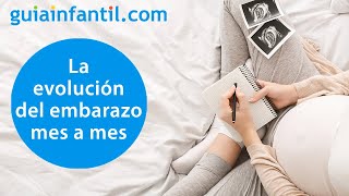 El embarazo mes a mes  Cambios en el cuerpo de la embarazada y el bebé en los 9 meses 🤰❤️ [upl. by Mountfort]