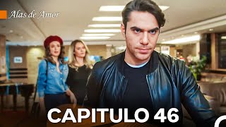 Alas de Amor Capitulo 46 Doblado En Español [upl. by Htehpaj]