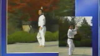 15 Taekwondo Poomsae Cheonkwon WTF [upl. by Rostand]