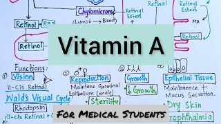 VitaminA  Absorption Transport Function Deficiency Manifestations amp Therapeutic Use [upl. by Aromat145]