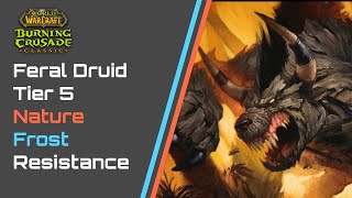 World of Warcraft Burning Crusade Classic  Feral Druid Tier 5 FrostNature Resistance Gear Guide [upl. by Owades984]