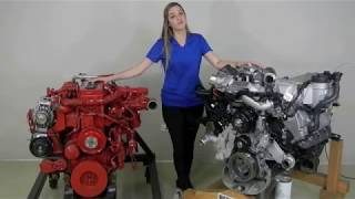 MaxxForce 7 vs Cummins ISB Medium Duty Truck Diesel Engine Comparison [upl. by Raimundo782]