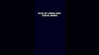 Unlocking the Mystery of Tarsal Bones tarsal anatomy osteology bones medicaleducation limbs [upl. by Shanley]