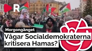 Morgongänget Vågar Socialdemokraterna kritisera Hamas [upl. by Jase539]