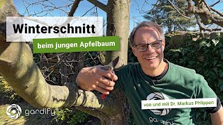 Schnitt bei einem jungen Apfelbaum  Wichtig für gute Ernte und gutes Wachstum  gardify Tipps [upl. by Leitao791]