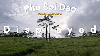 เที่ยวแบบมะลายยายอยาก  Phu Soi Dao เดินป่าแบบคนบาป 1617 Aug 2024 [upl. by Kelsy]