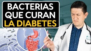 Clave para Revertir la Diabetes Microbiota Intestinal Dr Antonio Cota Sugar Care [upl. by Yral]