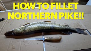 HOW TO FILLET NORTHERN PIKE fillet [upl. by Osswald201]