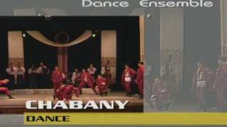 Ukrainian dance ensemble quotNadzbruchankaquot Ансамбль танцю quotНадзбручанкаquot [upl. by Arutak357]